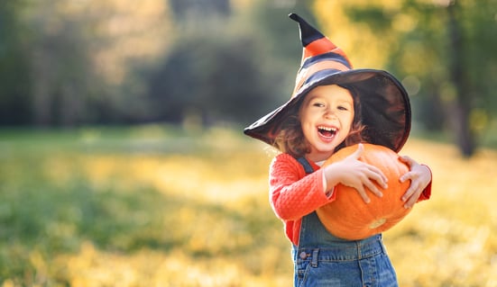008-Pick the Perfect Pumpkin at These Patches